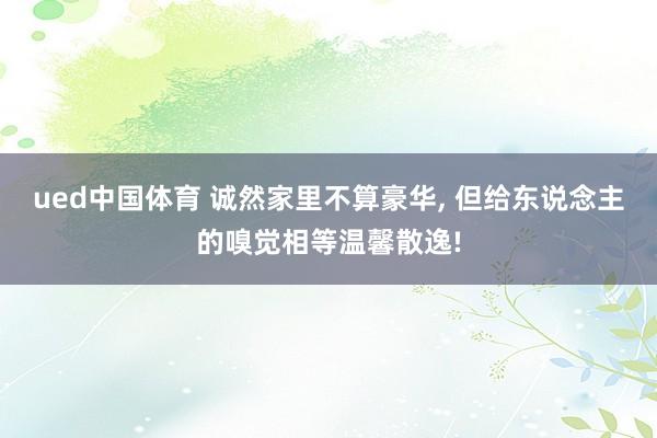 ued中国体育 诚然家里不算豪华, 但给东说念主的嗅觉相等温馨散逸!