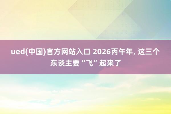 ued(中国)官方网站入口 2026丙午年, 这三个东谈主要“飞”起来了