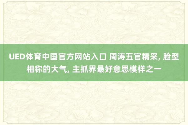 UED体育中国官方网站入口 周涛五官精采, 脸型相称的大气, 主抓界最好意思模样之一