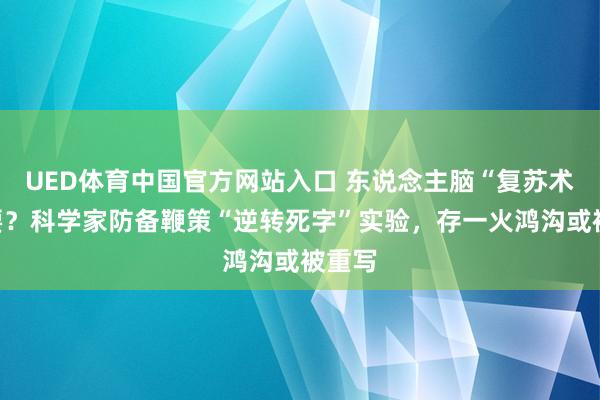 UED体育中国官方网站入口 东说念主脑“复苏术”快要？科学家防备鞭策“逆转死字”实验，存一火鸿沟或被重写