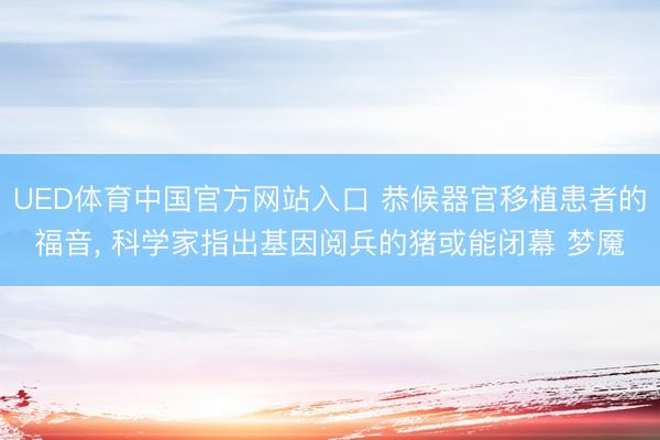 UED体育中国官方网站入口 恭候器官移植患者的福音， 科学家指出基因阅兵的猪或能闭幕 梦魇