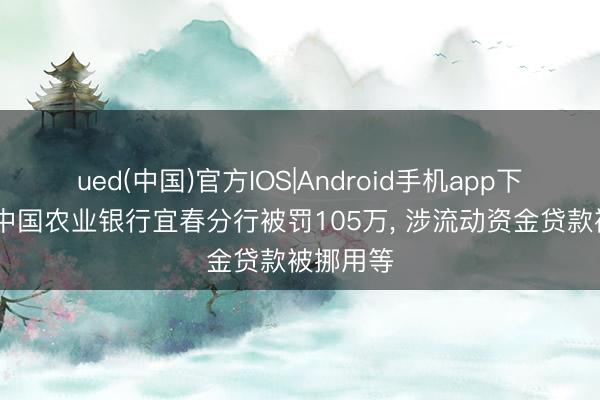 ued(中国)官方IOS|Android手机app下载入口 中国农业银行宜春分行被罚105万， 涉流动资金贷款被挪用等