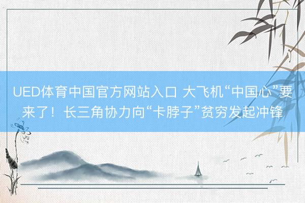 UED体育中国官方网站入口 大飞机“中国心”要来了！长三角协力向“卡脖子”贫穷发起冲锋